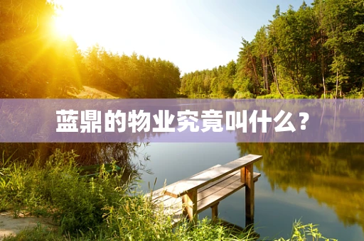 蓝鼎的物业究竟叫什么？