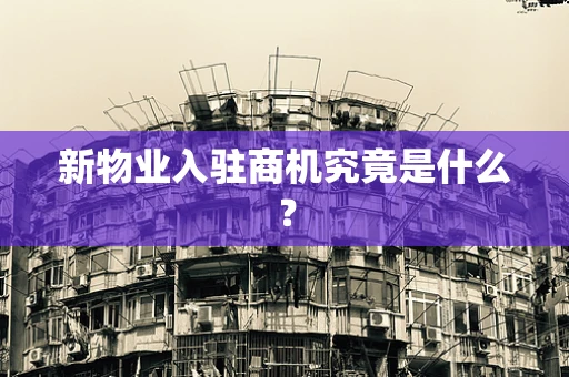 新物业入驻商机究竟是什么？