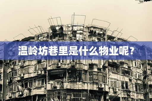温岭坊巷里是什么物业呢？
