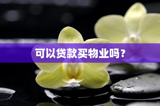 可以贷款买物业吗？