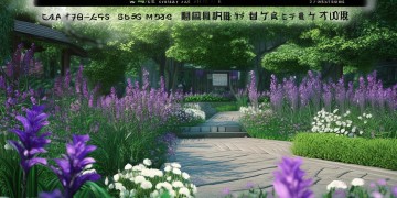紫芸苑物业有什么新消息？