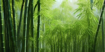 长春新竹的物业究竟叫什么？
