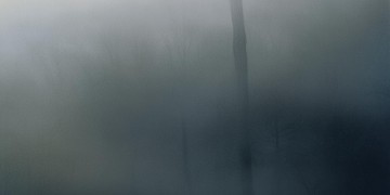 合肥龙湖物业工资待遇好吗？