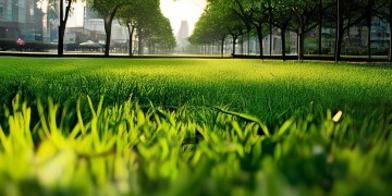 绿地东上海究竟是哪家物业公司呢？