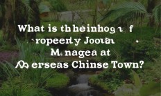 华侨城物业经理究竟叫什么？