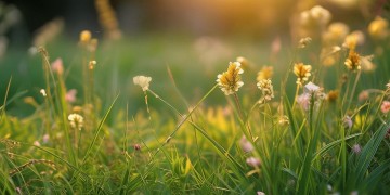 融创物业现在赚钱吗？