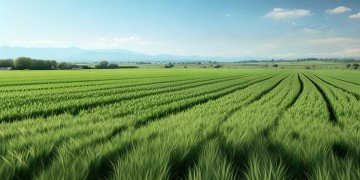 大田物业会涨价吗？