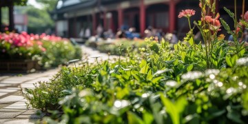 徐州鼓楼花园物业怎么样？